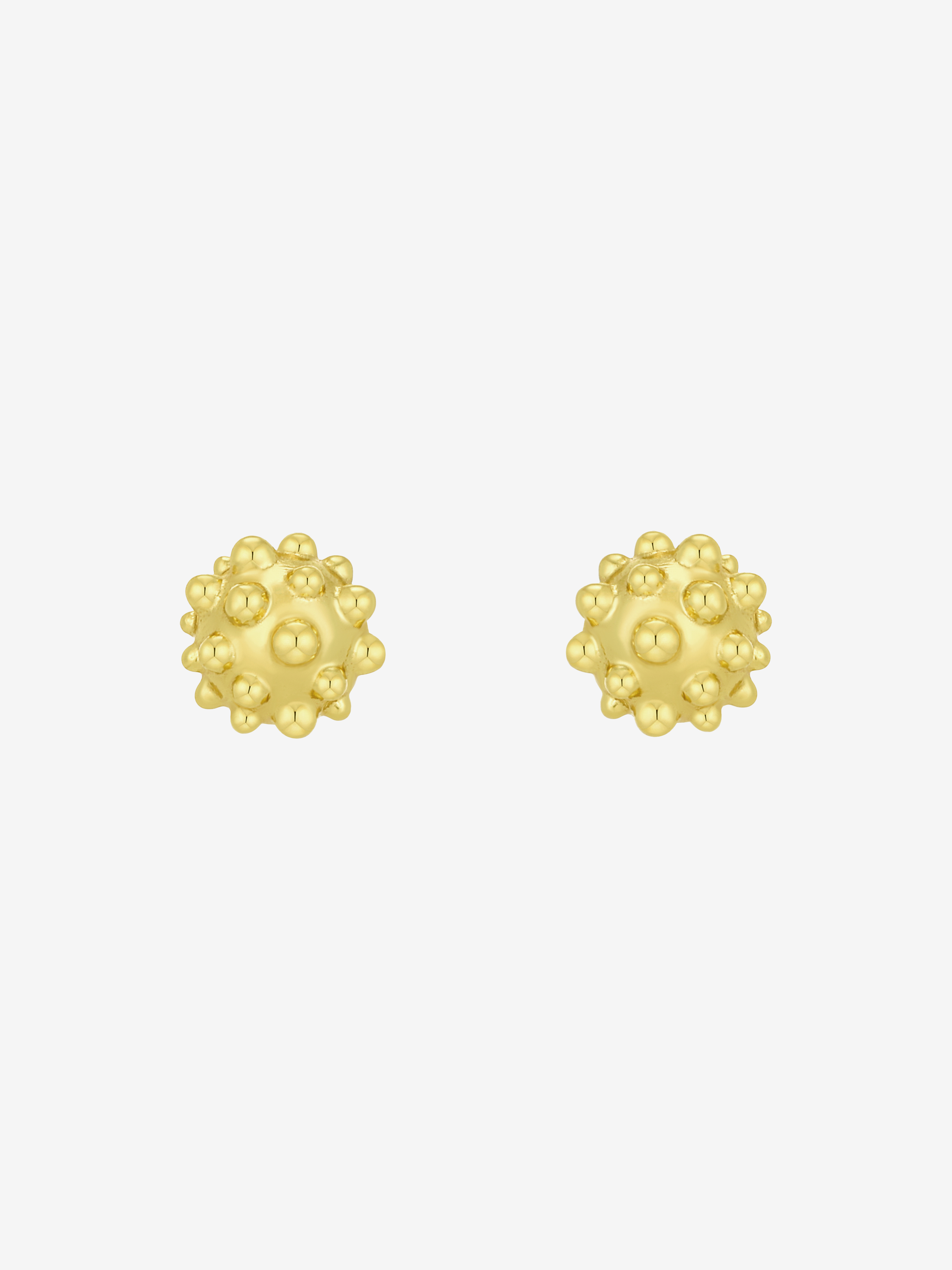 FRUTTO STUDS