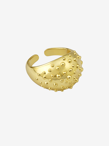 FRUTTO RING