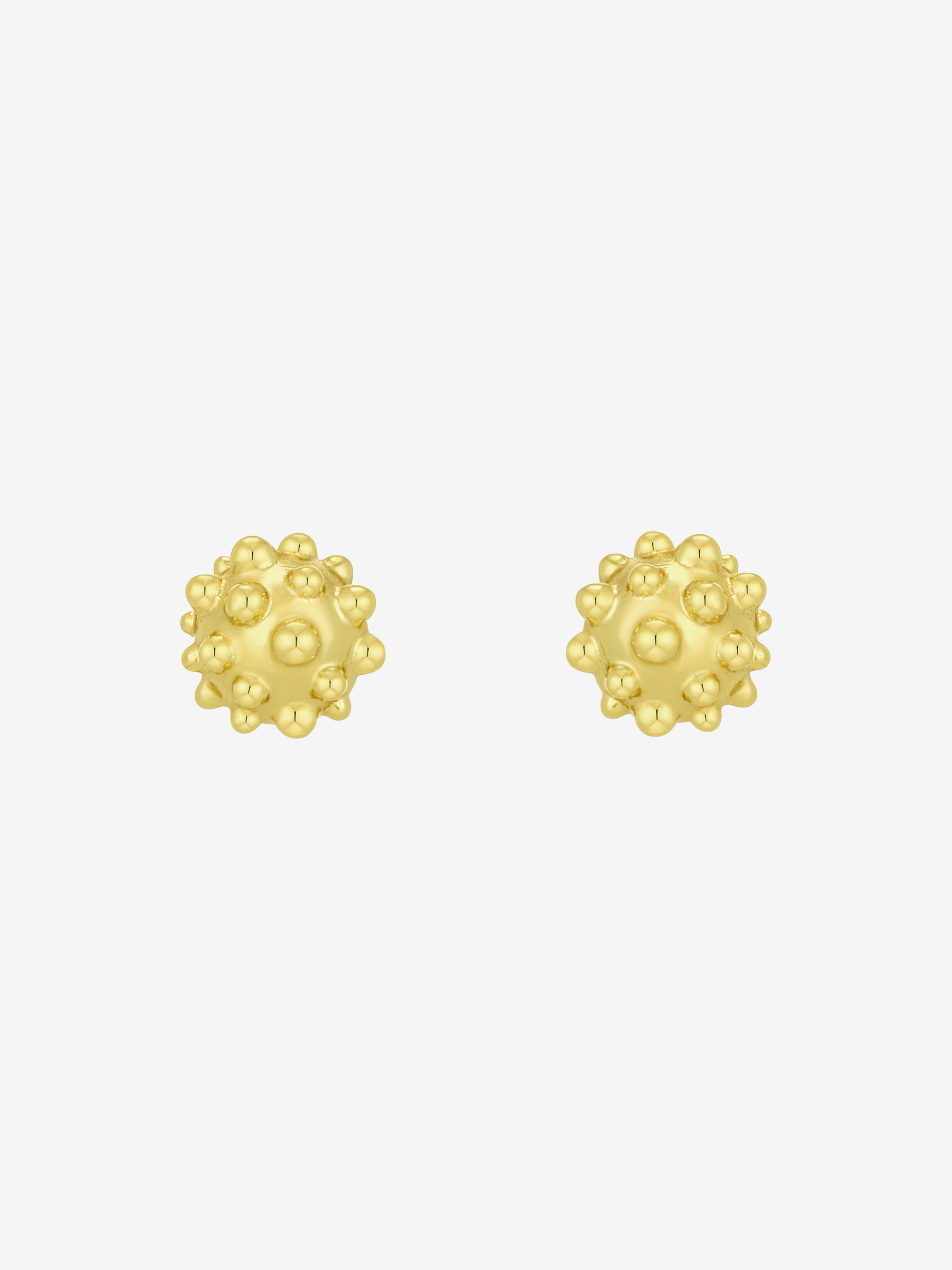 FRUTTO STUDS
